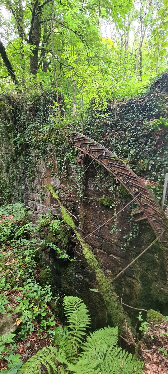 Pebblepower23's tweet photo. @VisualsbySauter A magical find at Kenall Vale Nature Reserve https://t.co/4DEn1VHlML
