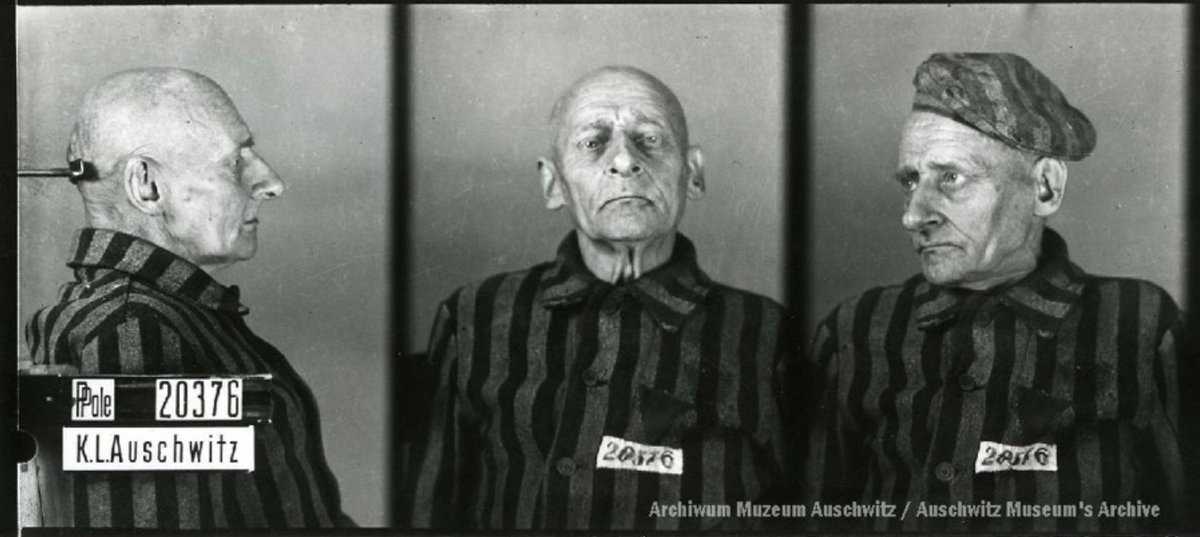 Auschwitz Memorial tweet media