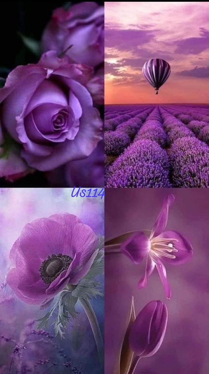 SyedaSaba12's tweet photo. @Itzmasooma آگئے ھم کہاں
اے میرے ساجنا۔۔۔
ان بہاروں میں دل کی کھلی کھل گئی۔
مجھ کو تم جو ملے ہر خوشی مل گئی۔
🤍💖
#محبت_خدا_کا_انعام
#BlessedAndGrateful
#usDiary https://t.co/yieYgvXsib
