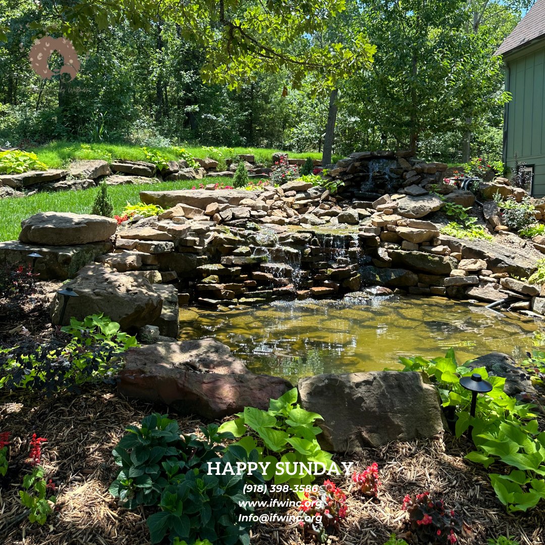 ifwincok's tweet photo. Happy Sunday!!

Innovations Family Wellness
https://t.co/geDLkI3J7S
(918) 710-5742
#blessed #sunday #sundayfunday #family #positivity #breastfeeding #relaxation #healthretreat #nonprofit #tulsabirthcenter #giventulsa #comingsoon https://t.co/4hH0Jq7olJ