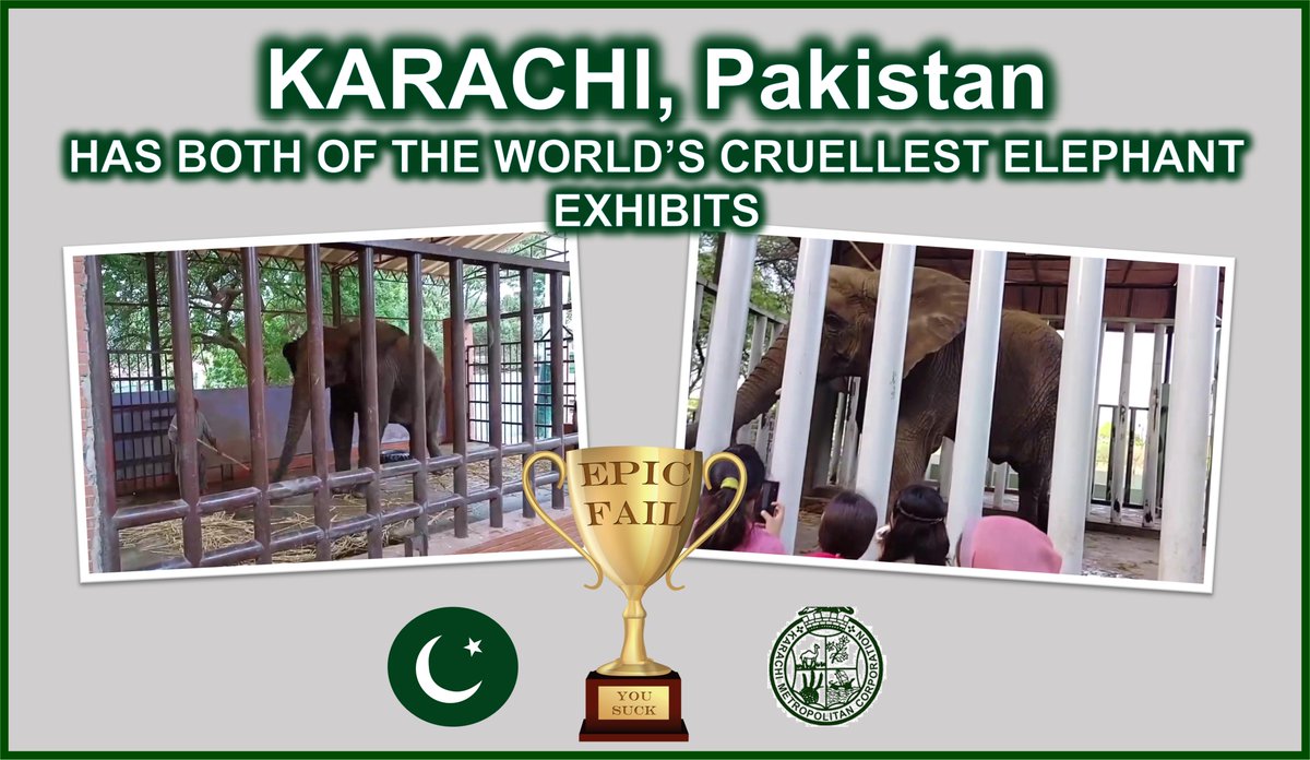 History has shown that any venue managed by @KMCPakistan will include cruelty and neglect! #Karachi3 MUST leave Pakistan @KamranTessoriPk @murtazawahab1 @DrSyedSaif #Sanctuary4Karachi3 #NoElephantsinPakistan
