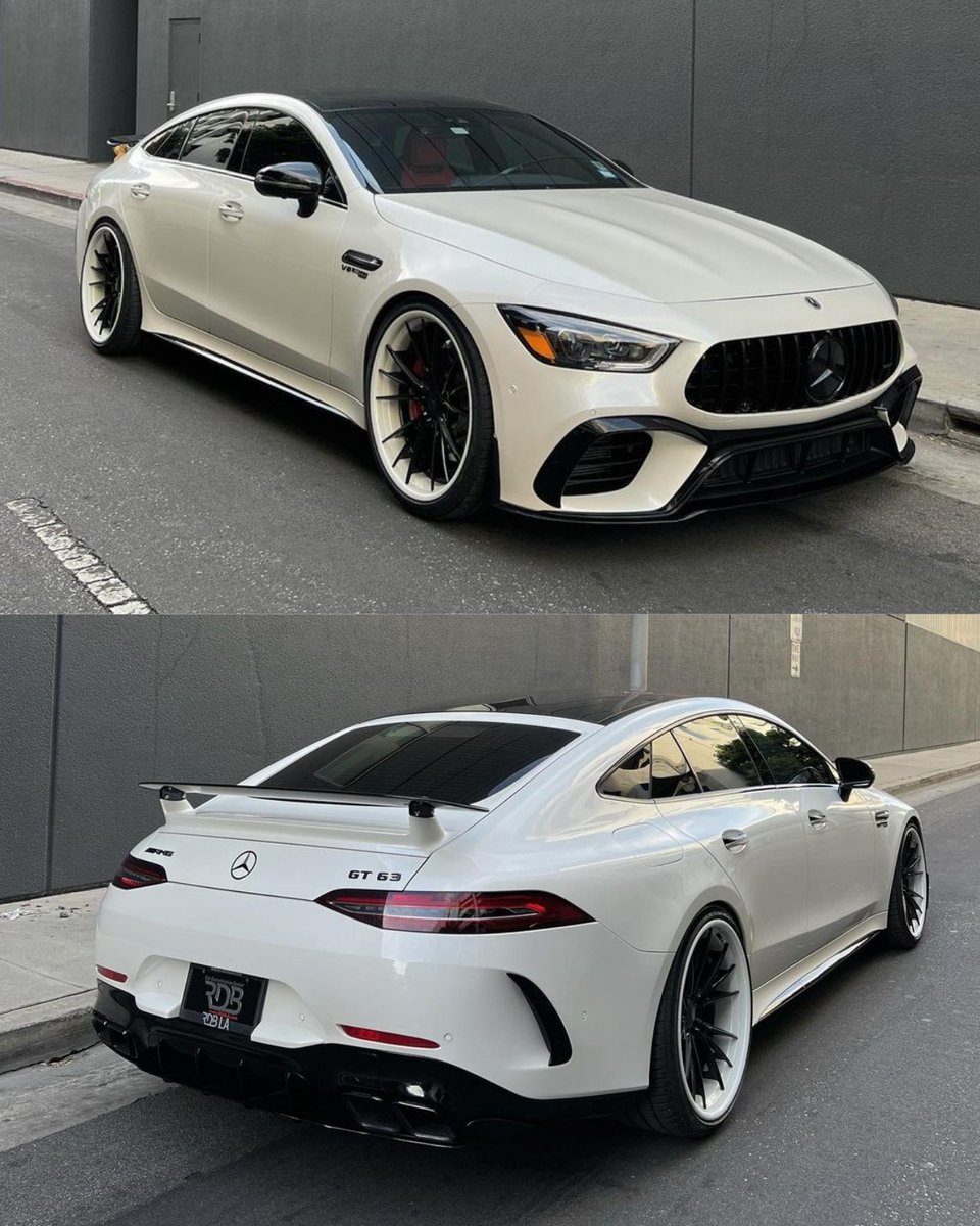 The white Shark 🦈