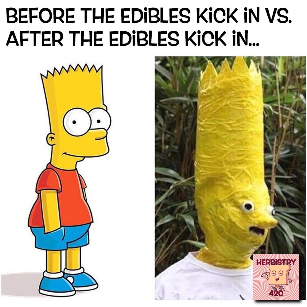 Herbistry420's tweet photo. Sometimes it's like that ๐คท๐
.
#cannabismemes #weedmemes #whentheediblehitsyou #whentheediblekicksin #edibles #nextlevelstoned #highaf #highasballs #somebodysaveme https://t.co/kS9EqQf116