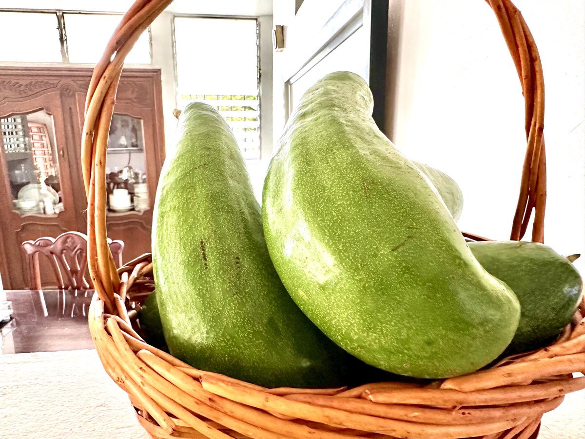 DrColonRod's tweet image. El Aguacate es una fruta rica en vitaminas,minerales,grasas saludable,fibras y un excelente antioxidante.
Consumirlo es muy beneficioso.
A comer Aguacate 🥑