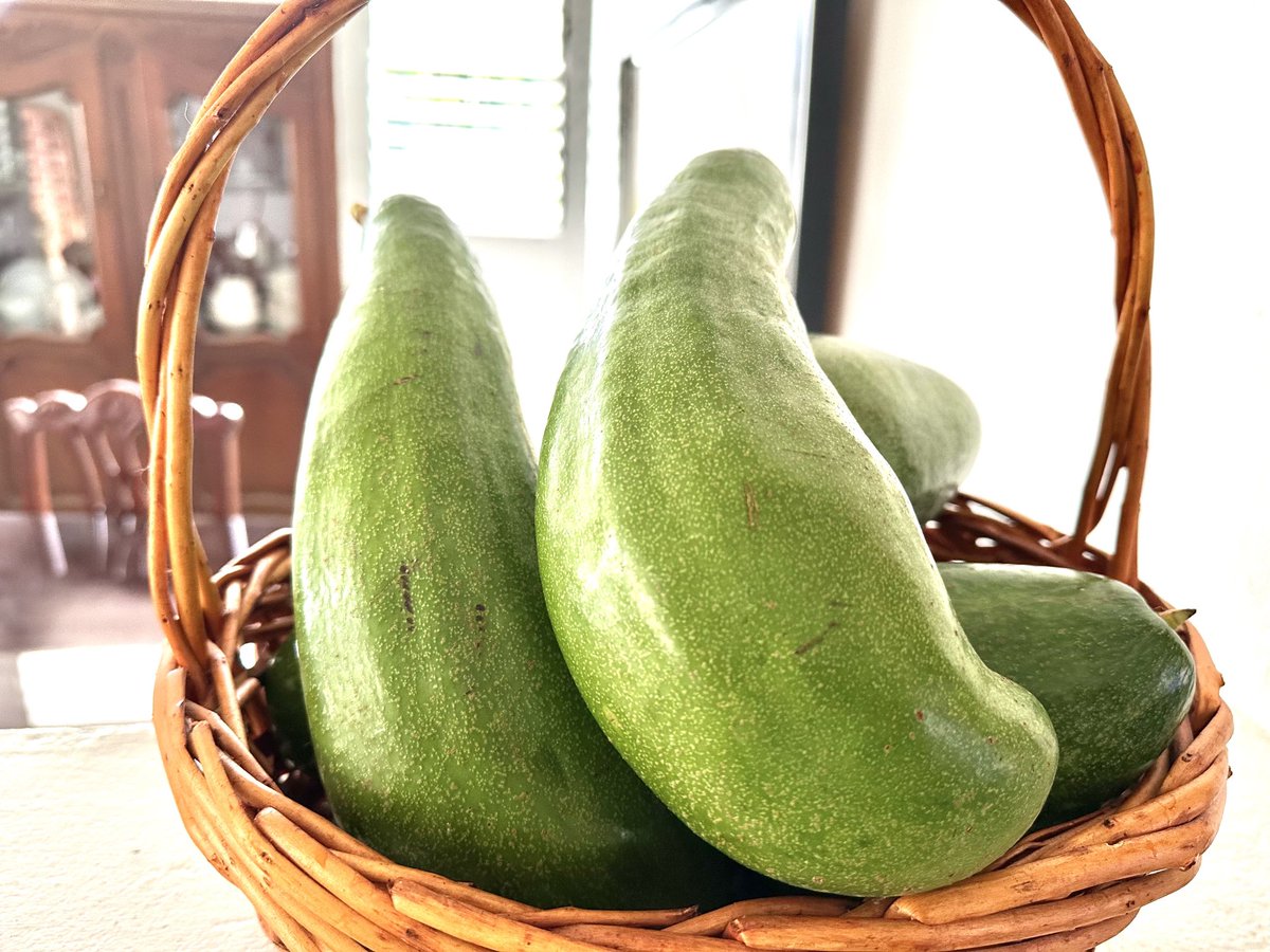 DrColonRod's tweet image. El Aguacate es una fruta rica en vitaminas,minerales,grasas saludable,fibras y un excelente antioxidante.
Consumirlo es muy beneficioso.
A comer Aguacate 🥑
