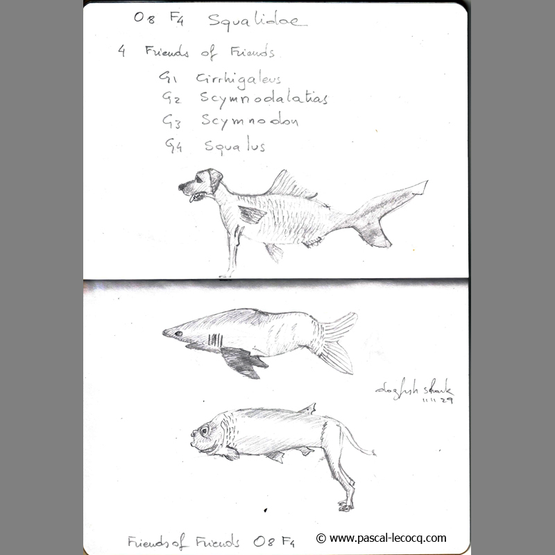 bluepainter's tweet image. Carnet Bleu: Encyclopedia of… shark, vol.2 (of 17 volumes) page 04 pencil on paper by Pascal Lecocq, The Painter of Blue Pascal Lecocq, 2011, lec850b04, former public coll. Brooklyn Art Library, NY. artist collection © pascal lecocq
#shark #sketchboo… instagr.am/p/CvUojELtH5g/
