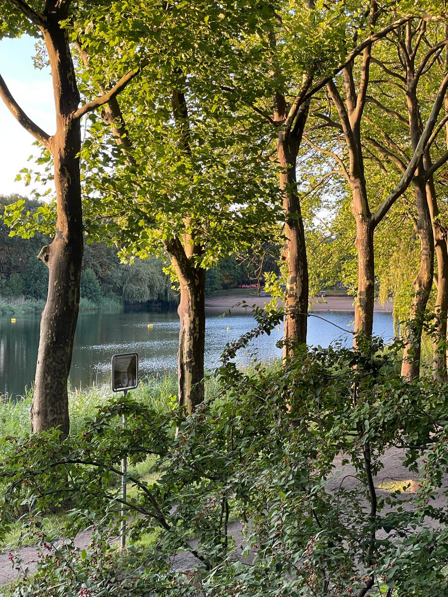 GJH31459137's tweet photo. #Orankeseeterrassen, #Orankesee, #Berlin, #AltHohenschoenhausen, Ein wundervoller Freitagabend mit #Oberinnen Berliner Kliniken, Obaid, #Dubai, Eddy #Tripolis and Adullah #Sharjah. Unforgettables moments. Obaid appreciated very much the green area around #Restaurant. https://t.co/oE2wE7aEfQ