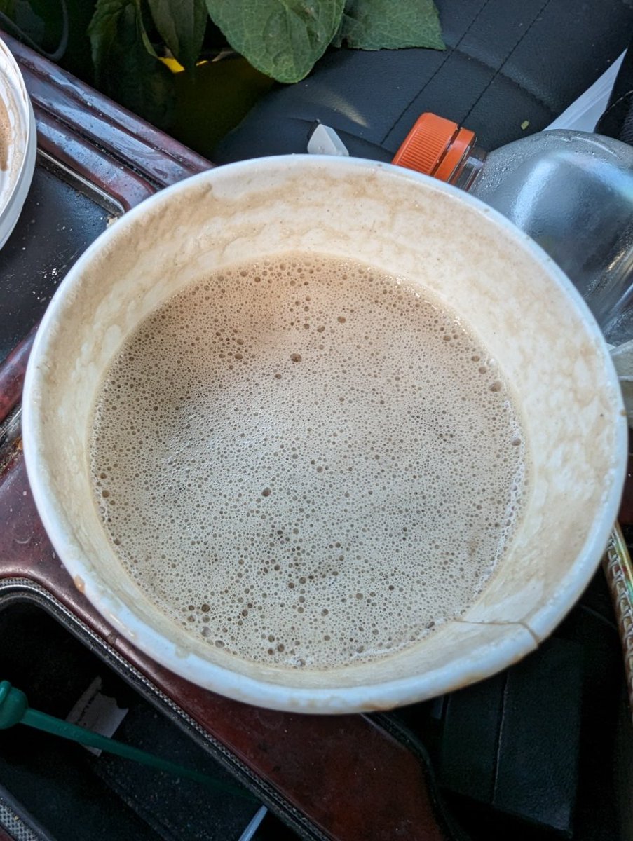rmiles7721's tweet photo. @Starbucks if I wanted a regular mocha I would have ordered one. Second time in two days. Wtf. It's written on the sticker. https://t.co/hE6MTJEZgW
