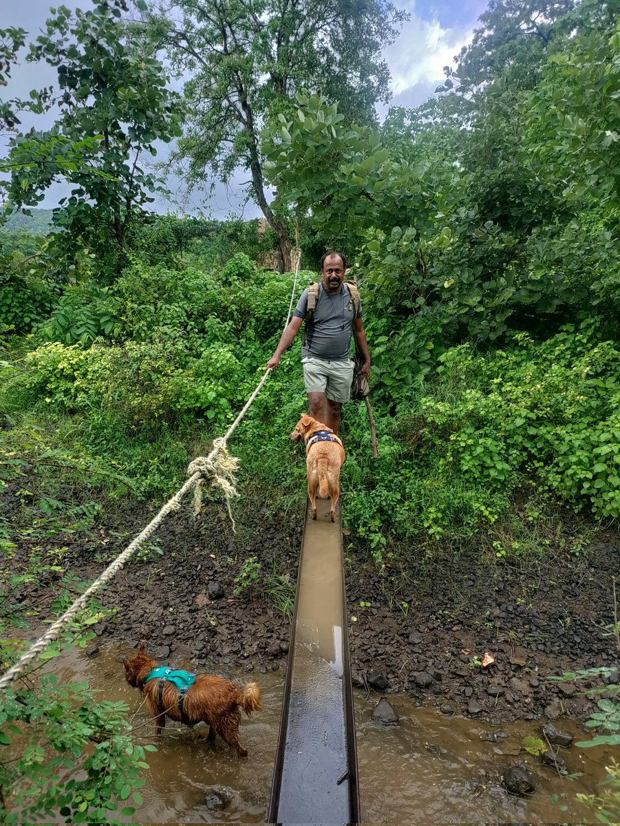 MilindPariwakam's tweet photo. Mitigation measure on a linear infra project. But, traffic jam happened on the overpass and I had to walk in reverse....and one of the stakeholders decided to ignore the overpass and walk in the canal ๐
#roadecology #linearinfra https://t.co/ewNwGBkoqh