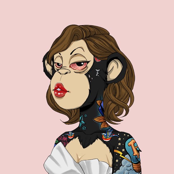 Ghetto Gatsby 🦍 tweet media