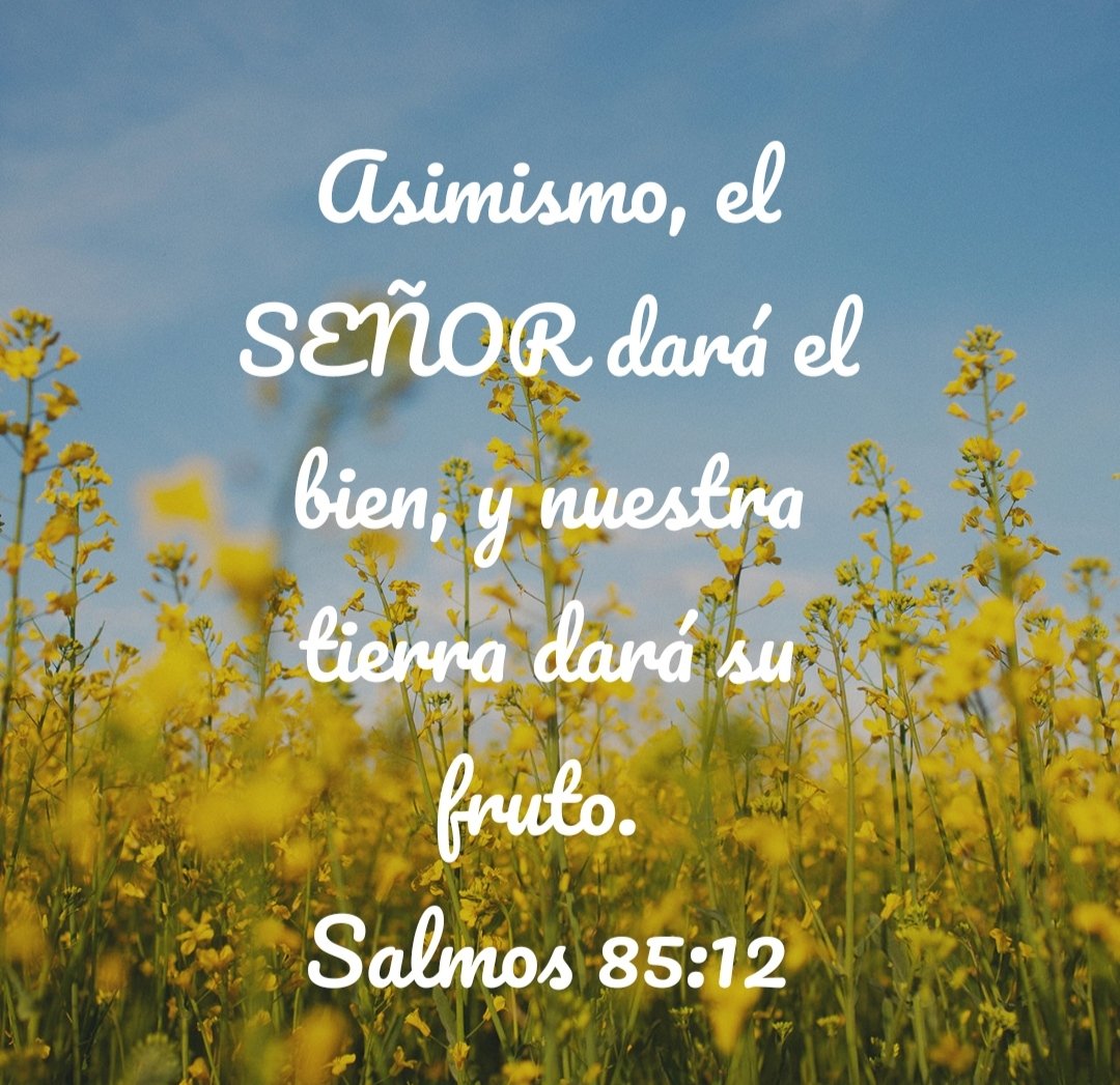 elva7310's tweet photo. Su gracia , su misericordia y su amor son infinitas , Él nos ama y su justicia es perfecta. Su paz en nuestros corazones nos harán hacer el bien y recibir bendiciones!
#Salmo85 #rpsp #MiBibliaDice https://t.co/Ct53wPqkJS