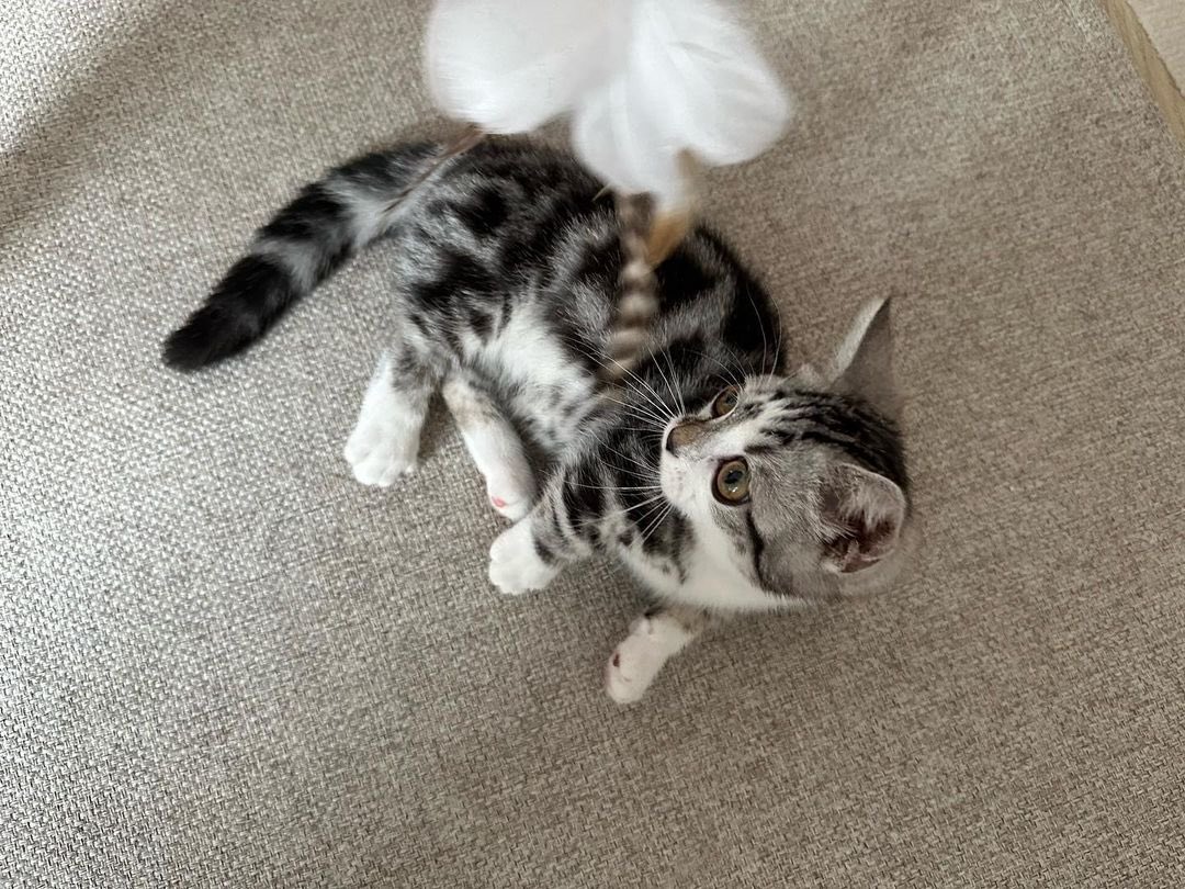 playtime