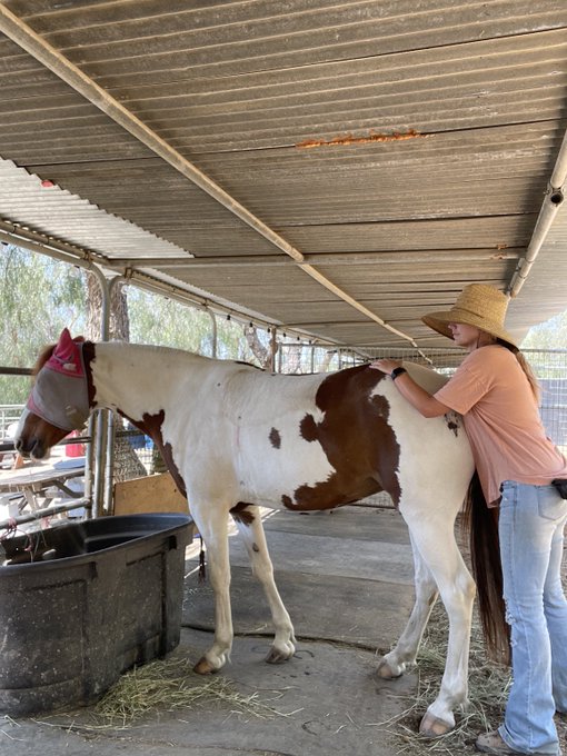 Thanks for the kind messages guys. Being with my horses is what turns me around when I&rsquo;m feeling down