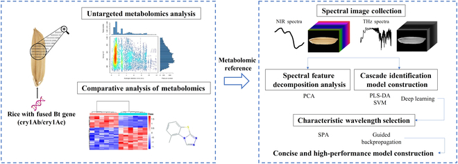 PPhenomics's tweet photo. #JustPublished🌾
Concise Cascade Methods for Transgenic Rice Seed Discrimination using Spectral Phenotyping 🔗https://t.co/TqjqCmn80M
#PlantPhenomics #PlantPhenotyping #riceseed https://t.co/bOGjP9E3Sj