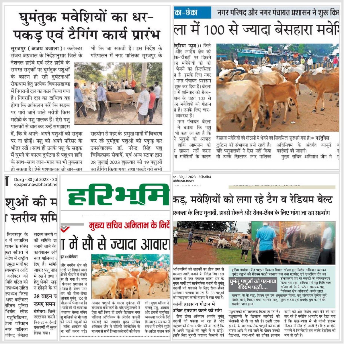 IASTripathiCG's tweet photo. #StrayCattles #Regulation #Relocation #Gauthan #NHSH #ReflectiveBelts #Tagging #INAPH @ChhattisgarhCMO @RChoubeyCG @amitabhjn @KPSingh_IAS #InMedia @BemetaraDist #JointActivity #ULB #PRD #Veterinary https://t.co/GUZlktELZ6
