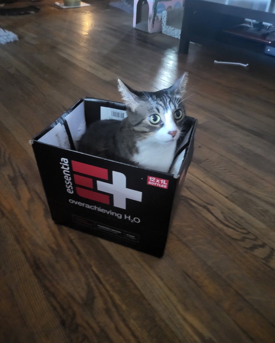 RegisGallet's tweet photo. @essentiawater Chompers loves his Essentia! https://t.co/dAs1Xf4DZo