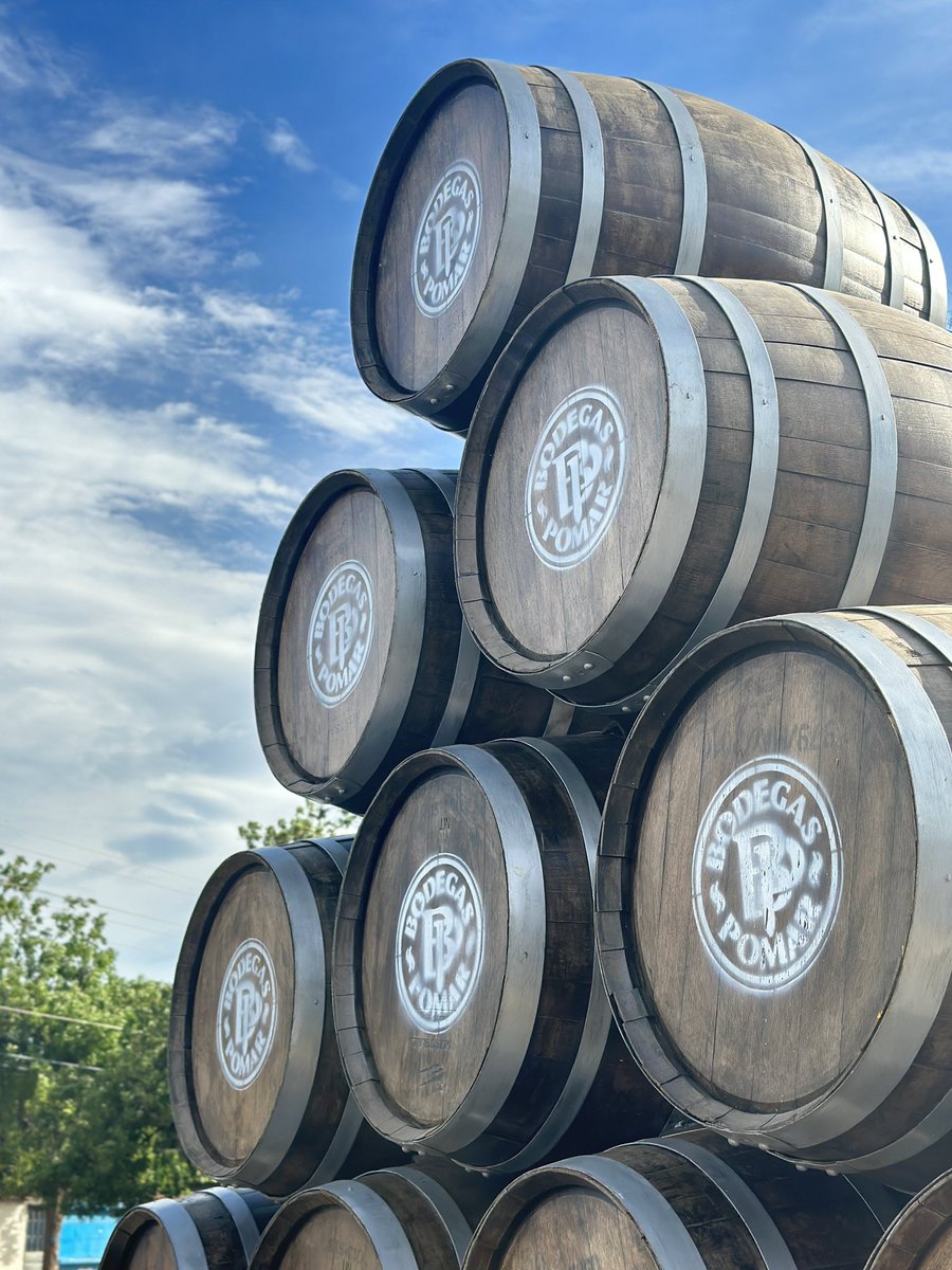 Hoy culminó nuestro primer fin de semana de la Vendimia de agosto 🍇