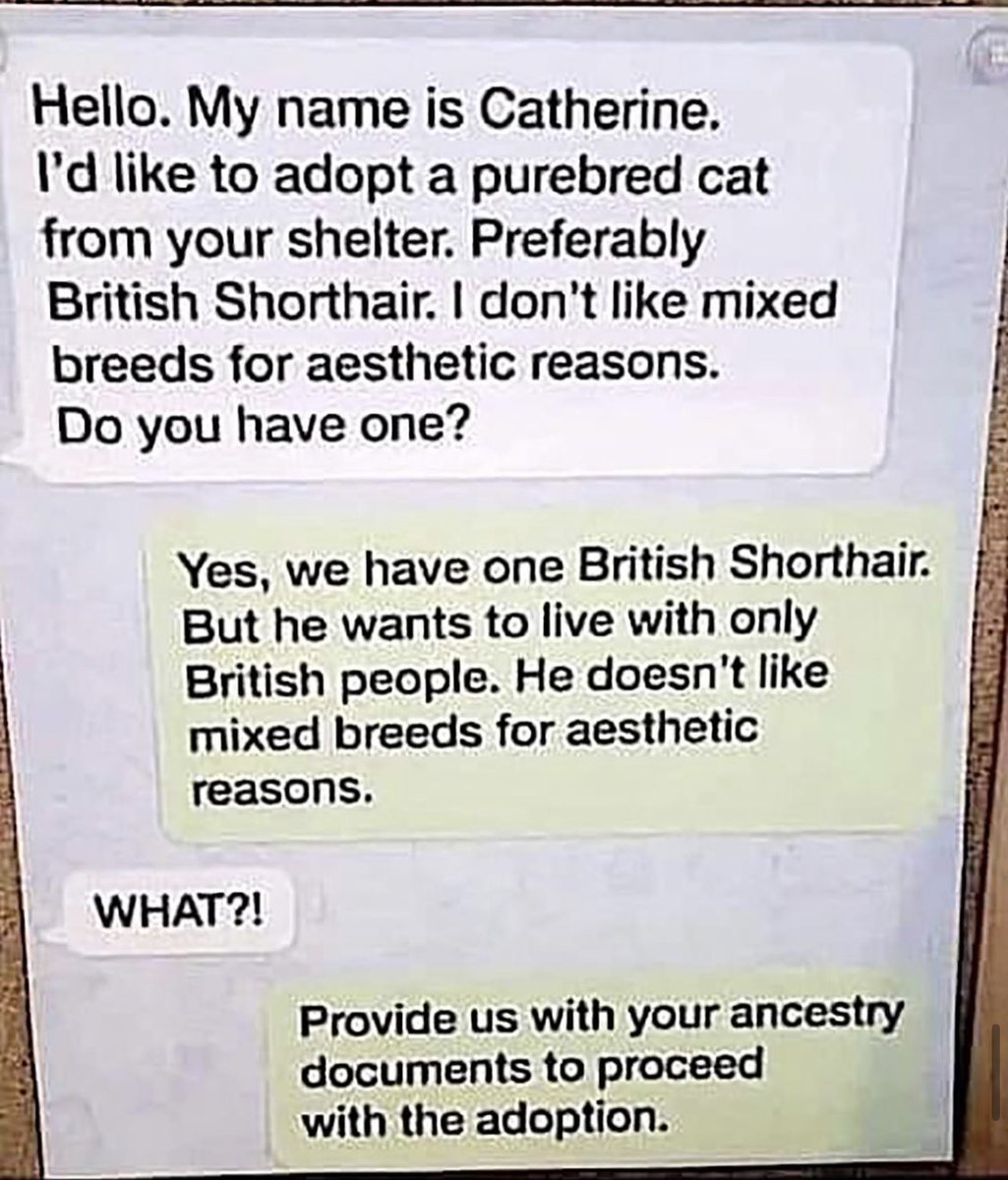 🤣🤣