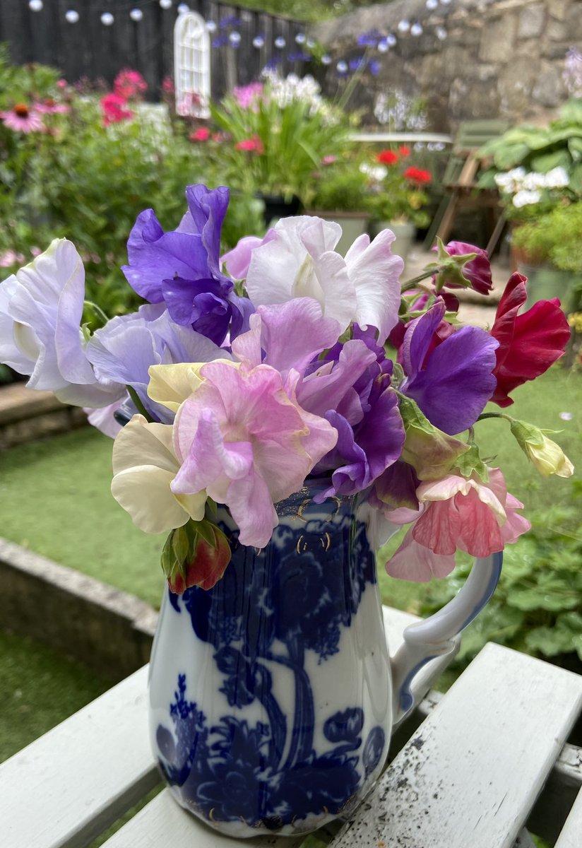 Hand picked from my garden.