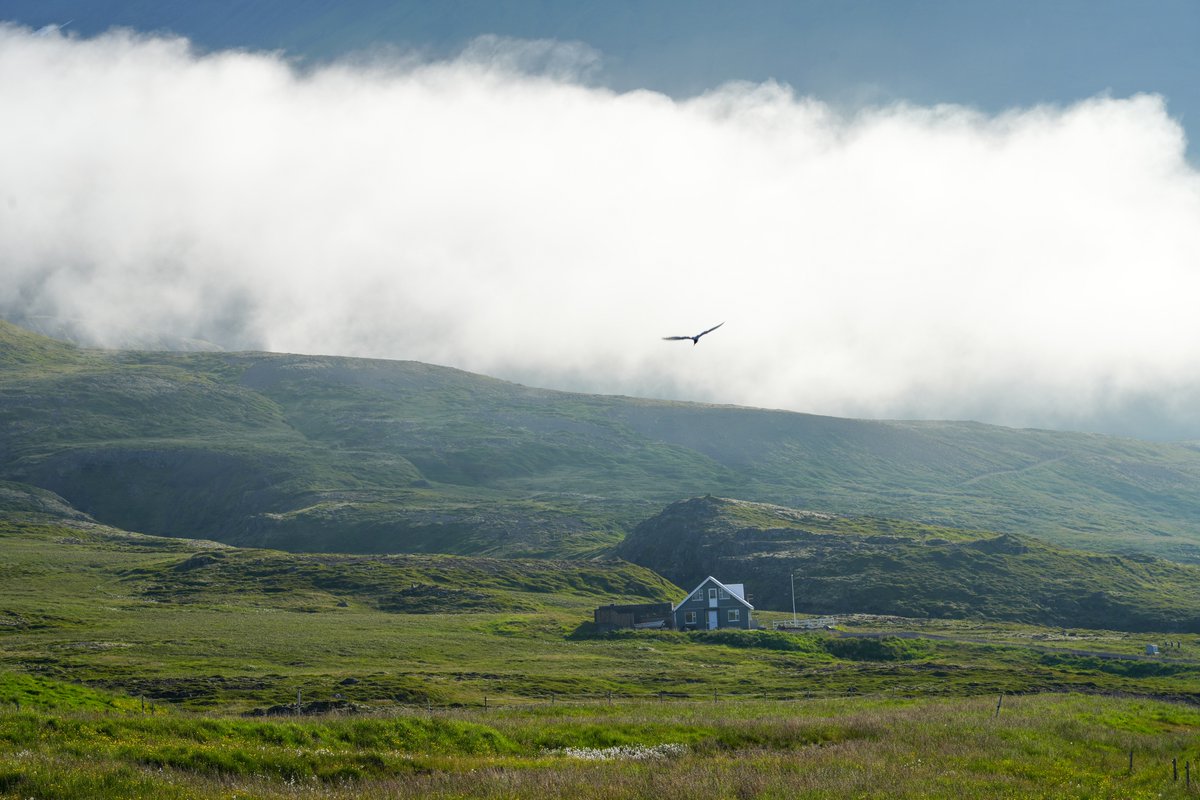 RobertMerlo's tweet photo. #photography by @robertmerlo [ #Iceland in July ] 

#nature #awe #naturalintelligence #landscapephotography #travel #fog #sony #sonycameras #sonymirrorless #NOAI @IcelandicTimes https://t.co/hdX3XVqNGn