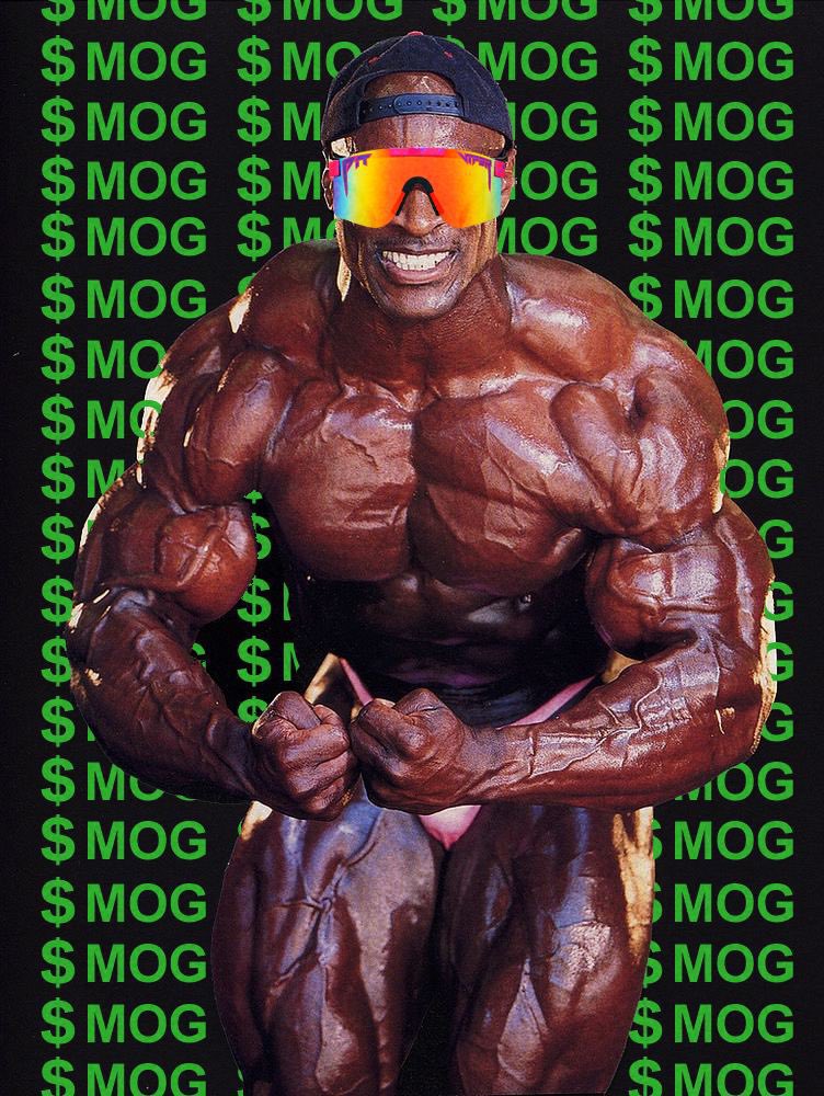 mogcoin's tweet photo. GOOD MOGGING $MOG COUSINS 

HEARD YOU LIKE BALD DEVS

WELL 

THIS IS ME https://t.co/ipwPNxDIbC