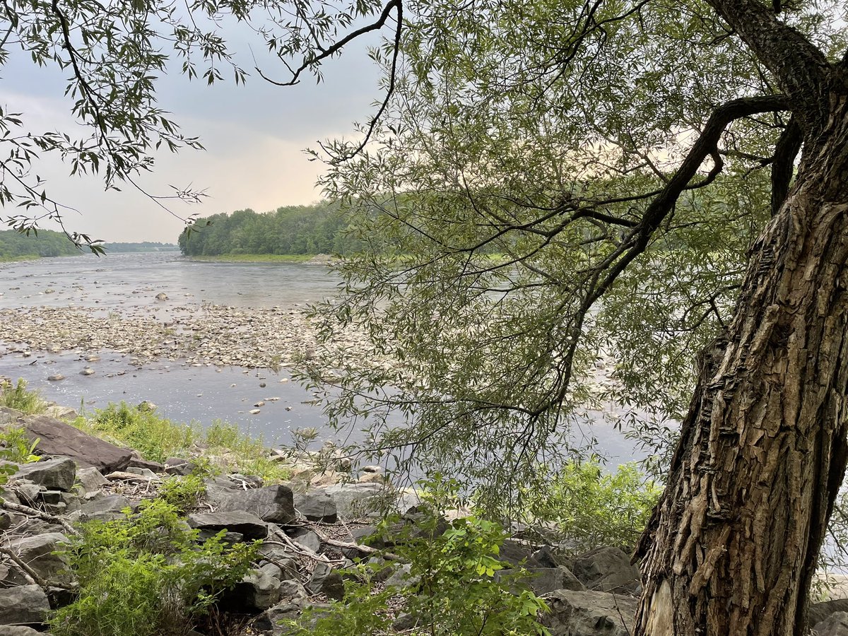 Matamich's tweet image. Looks like a painting 🖼️ Bike path in Sainte-Hélène de Breakeyville 😊