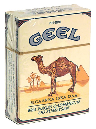 6: Camel (read the package lol)