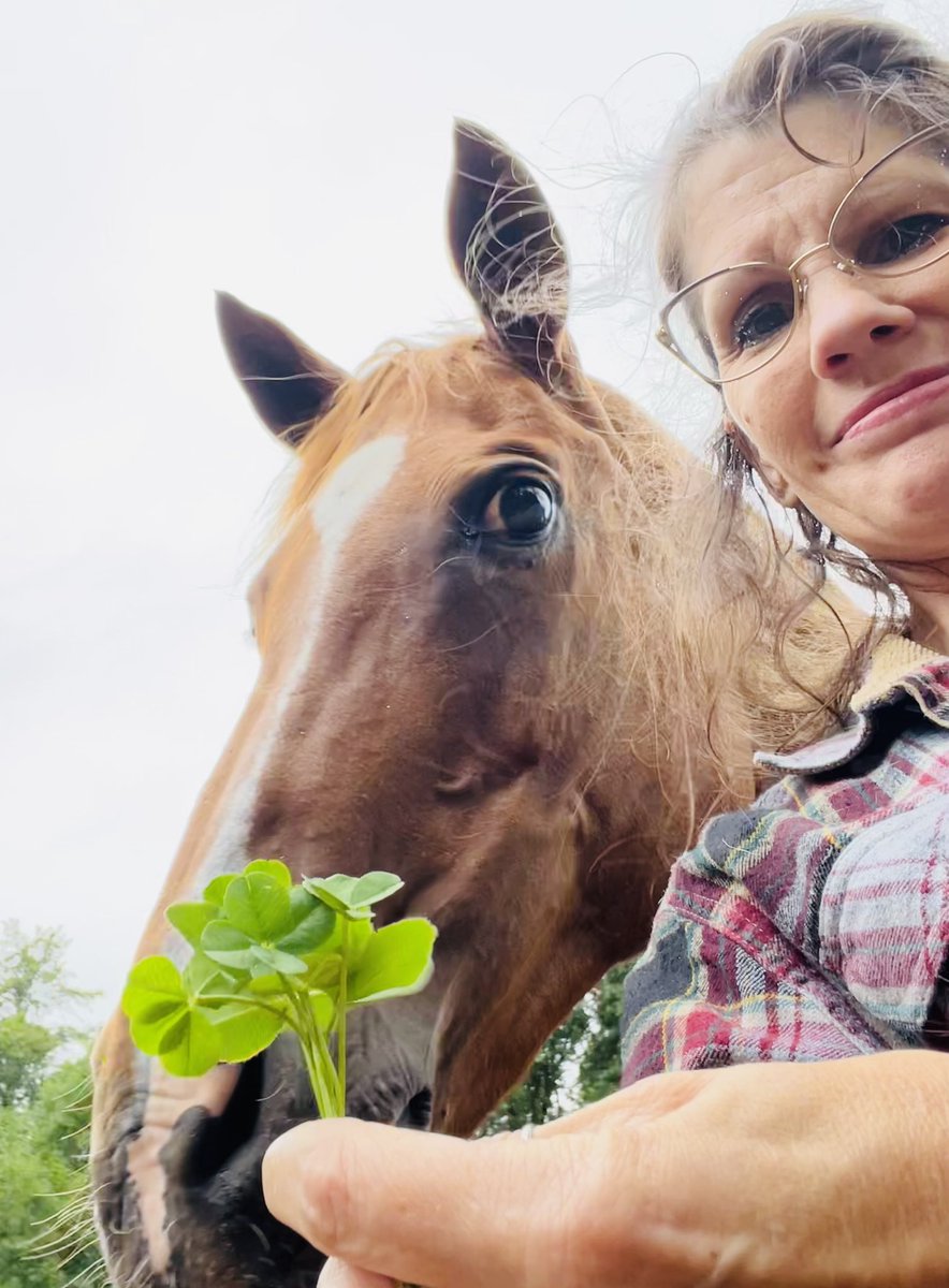 PetHeff's tweet photo. The redhead behind me wants the 7 four-leaf clovers in my hand! 😍🤣😌🥰😘 https://t.co/Pj1UIwsgGx