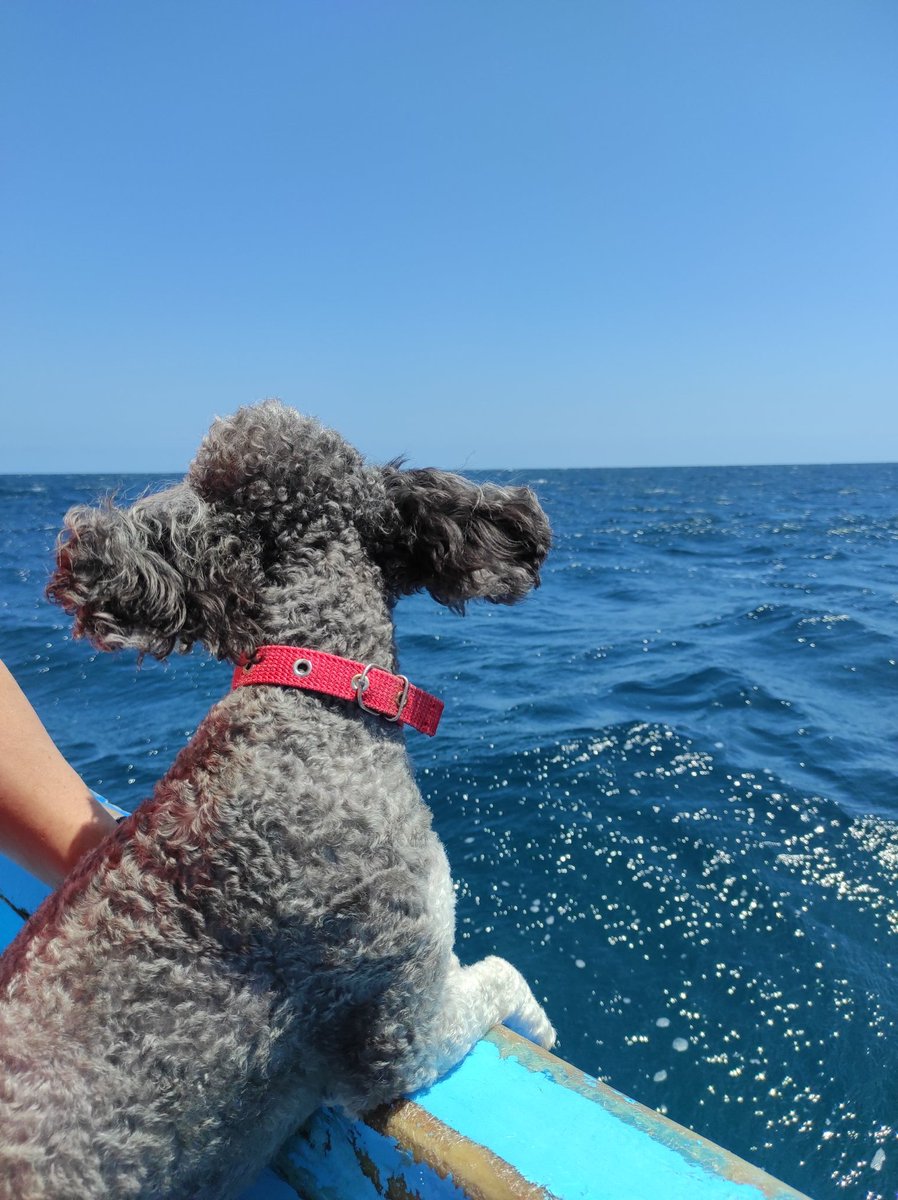 ParraDome's tweet photo. @skereunpesado Un día de playita 🏖️ https://t.co/evx0zLEUTi