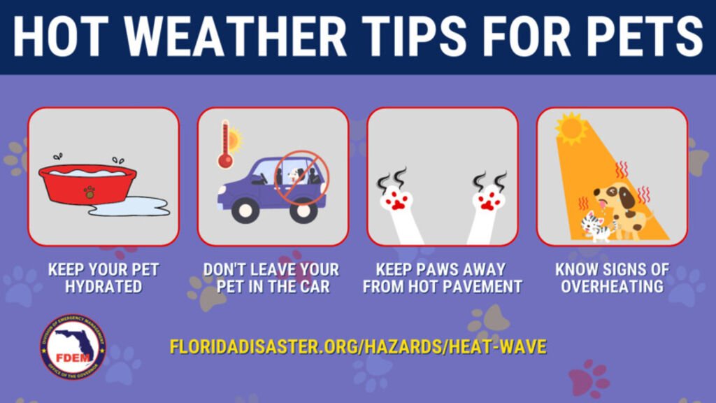 floridadisaster.org/Hazards/Heat-W…
