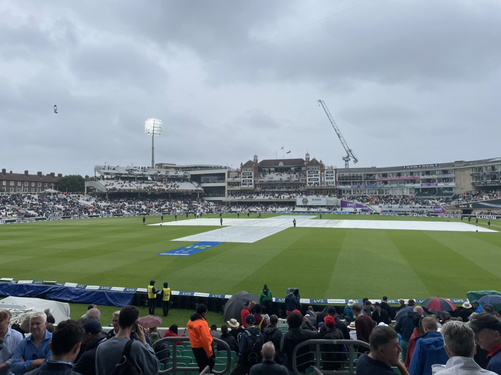 cricket.com.au tweet media