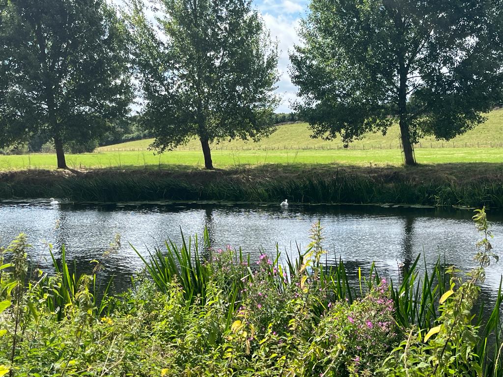 evesham ramblers tweet media