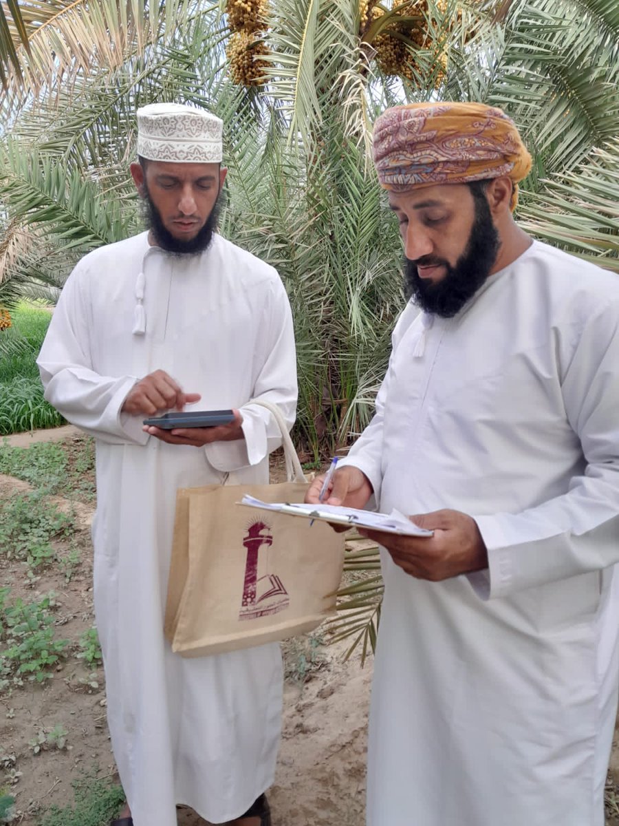 YZakah's tweet photo. جانب من خرص الثمار ب قرية العلو.
حيث تم زيارة مزرعة لأحد المحسنين.
واللجنة على أتم استعداد لزيارة المزارع بالولاية بالتواصل مع رقم اللجنة 98250077 أو ممثلي القرى. https://t.co/IYxS606e8P