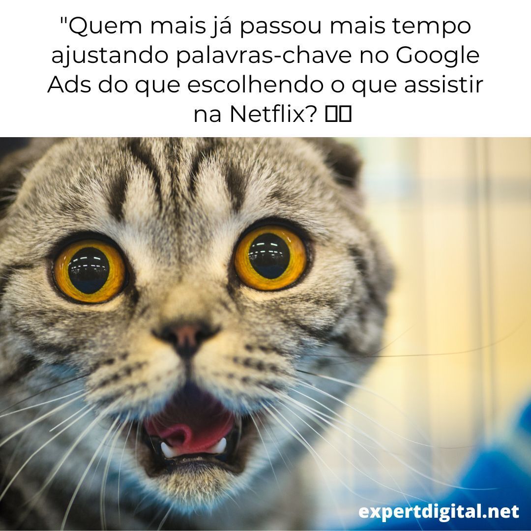 expertdigitals's tweet photo. "Quem mais já passou mais tempo ajustando palavras-chave no Google Ads do que escolhendo o que assistir na Netflix? 🤔🔍 

#GoogleAds #PalavrasChave #DecisõesDifíceis" https://t.co/k8UBGBtwgl