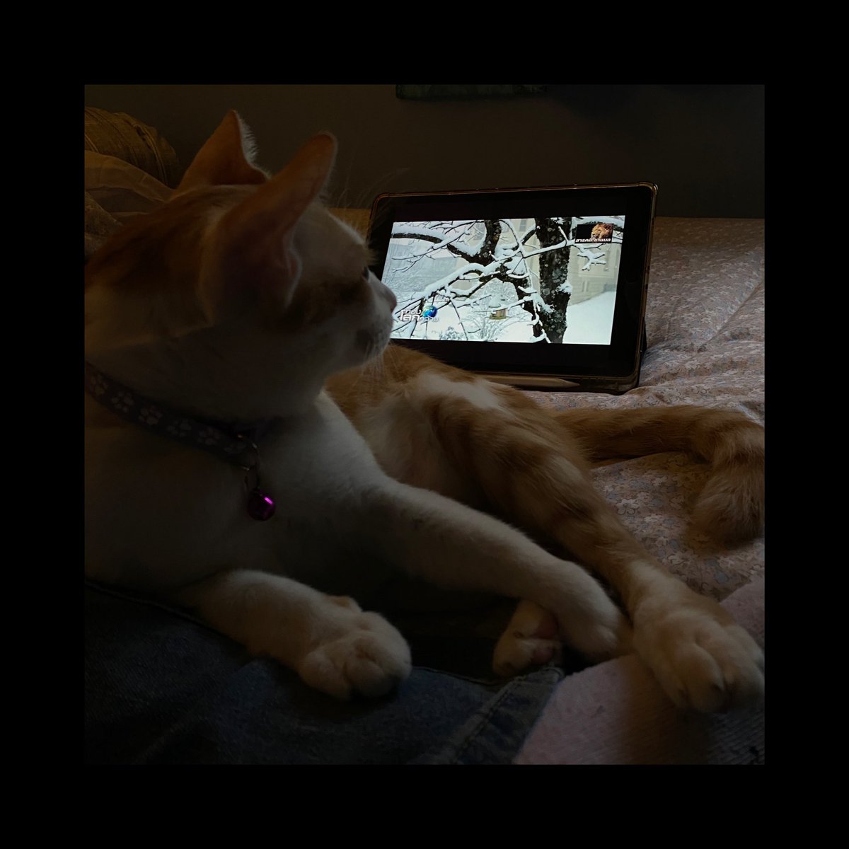 rey (@menosmialma) on Twitter photo 