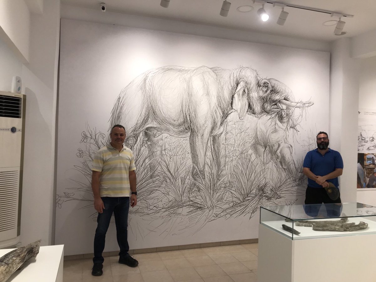 EvanVlacho's tweet photo. Μέσα σε όλη την τρέλα που ζούμε βρήκα την ευκαιρία να επισκεφτώ τις παλαιοντολογικές εκθέσεις που είχαμε στήσει από απόσταση τα τελευταία χρόνια στην πανδημία:
☑️Θερμοπηγή Σερρών
☑️ Νεοκαισάρεια Πιερίας
☑️ Σπήλαιο Αγίου Γεωργίου Κιλκίς.

Η Ελλάδα έχει μερικά από τα σημαντικότερα απολιθώματα της Μεσογείου, αλλά δυστυχώς μας λείπουν πολλά από τα προτερήματα που υπάρχουν σε άλλες ευρωπαϊκές χώρες:
🚫Δεν έχουμε ένα Εθνικό Μουσείο Φυσικής Ιστορίας
🚫Δεν έχουμε νομικό πλαίσιο για της δραστηριότητες των παλαιοντολογων και την προστασία των απολιθωμάτων
🚫Δεν έχουμε ένα παλαιοντολογικό σύλλογο
🚫 Η εξέλιξη και η σημασία των απολιθωμάτων δεν διδάσκεται στο σχολείο
🚫Ελάχιστη οικονομική στήριξη για παλαιοντολογική έρευνα και ανασκαφές
🚫Δεν έχουμε ένα ελληνικό επιστημονικό περιοδικό για να δημοσιεύονται οι έρευνες μας

Μακάρι κάποια στιγμή η ελληνική παλαιοντολογία να φτάσει στη θέση που της αξίζει.

Ο,τι έχουμε μέχρι σήμερα έχει γίνει χάρη στην ανιδιοτελή προσφορά ανθρώπων όπως η Ευαγγελία, ο Βασίλης, ο Σάββας, και ο Πέτρος που μπόρεσα να τους αγκαλιάσω ξανά μέρα από τόσα χρόνια.