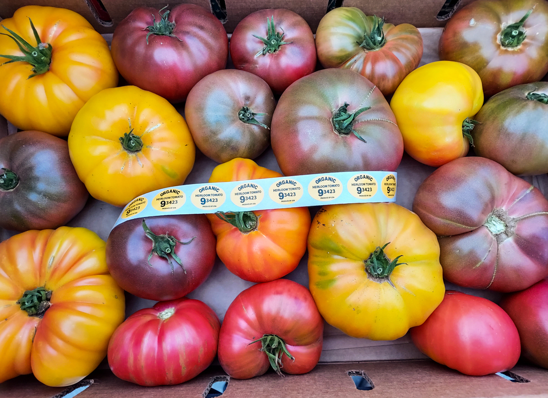 Can you guess why these beautiful heirloom tomatoes were rejected by conventional grocers? They look pretty plump to us!