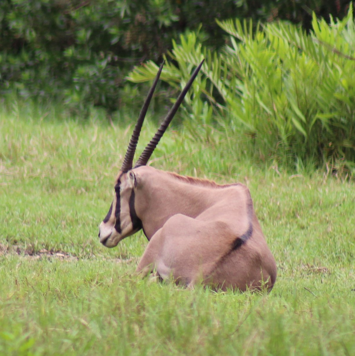 Daniel Bayley tweet media