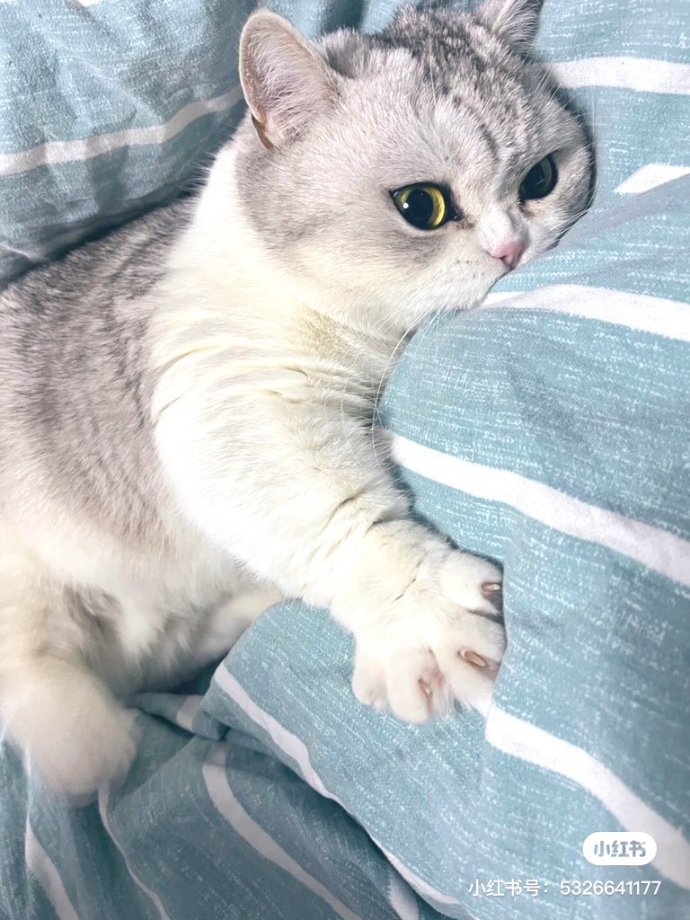 Yoonama2's tweet photo. murmuring  you are so cute https://t.co/lwjBMnQLnA