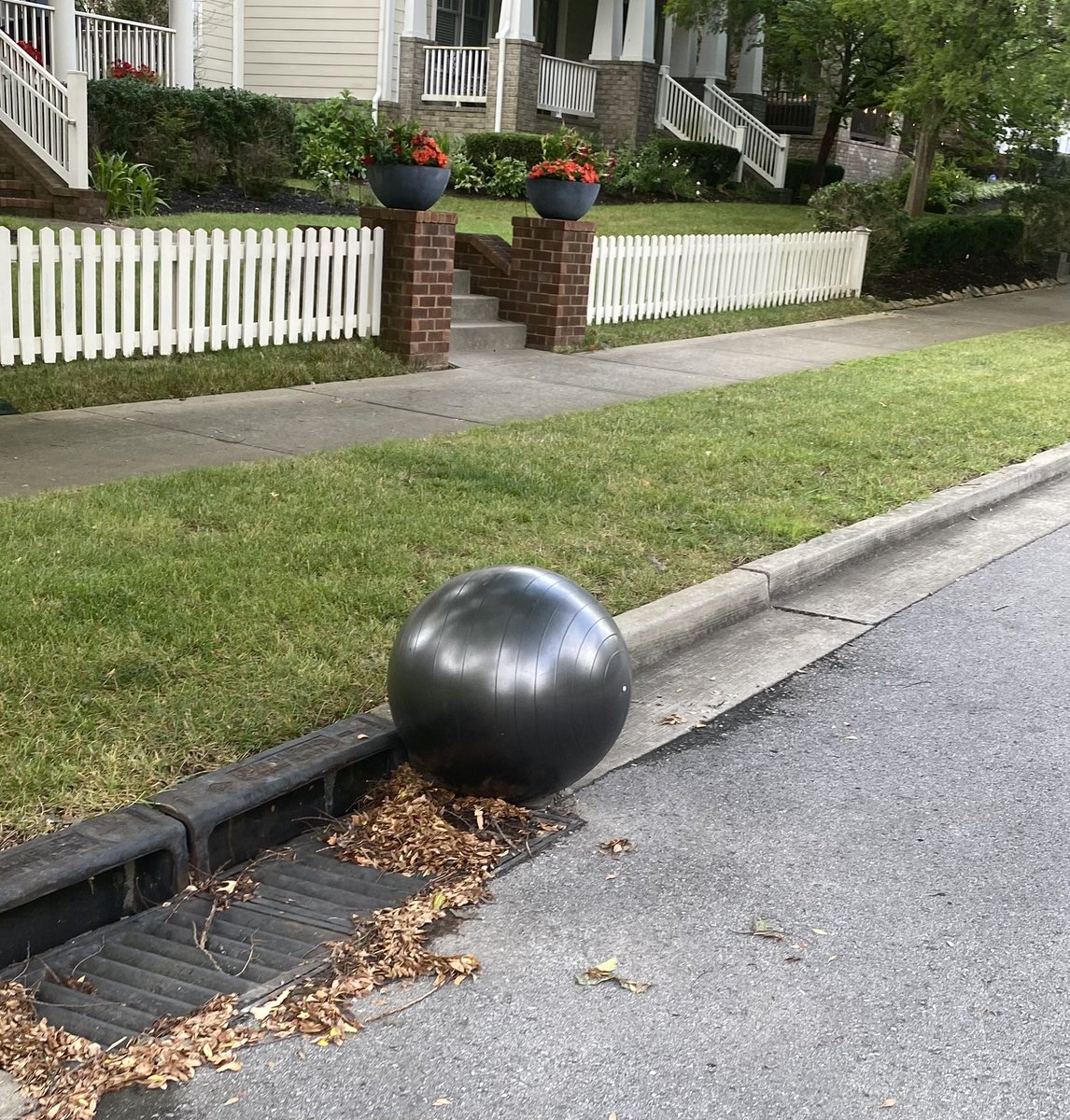 johnpstrohm's tweet photo. Does anyone know what those @worldnetwork retina-scanning orbs look like? This orb was rolling down the street and I’m afraid to look directly at it, or it might try to give me crypto in exchange for @OpenAI stealing my IP. #dystopianhellscape https://t.co/DmnynVrA1x