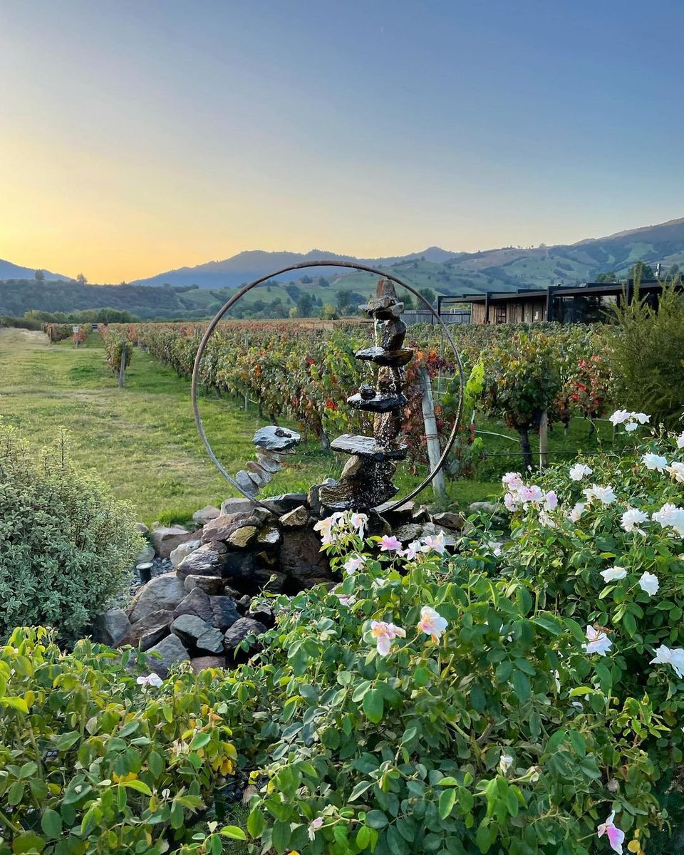 Let the serenity of our Apalta vineyard remind you to breathe in and take a moment to appreciate the boundless beauty that surrounds you.

📸 dee_otis_ (IG)

#MontesWines