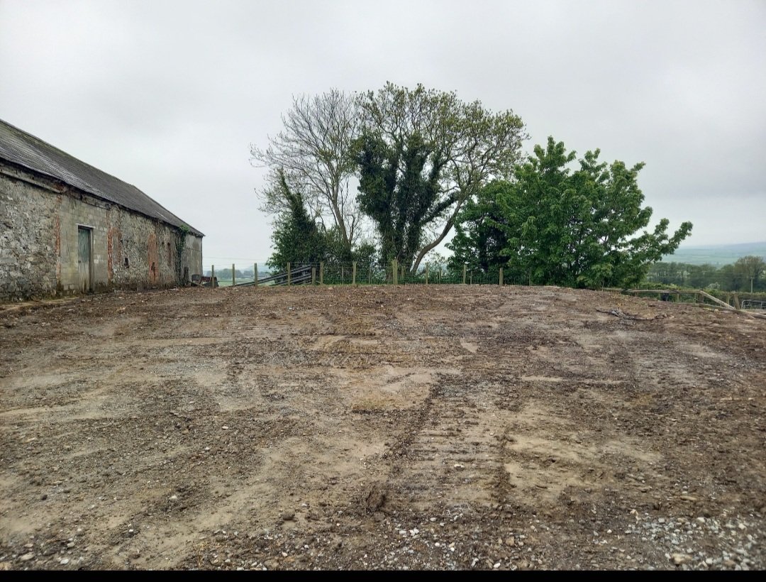 AlisonRoseScott's tweet photo. A corner of rough ground at the farmyard turned into a wildflower garden - a bit patchy but very happy with it for the 1st year. Plenty of bees and more flowers still to bloom! #agriculture #environment https://t.co/I5r4fTnZz3