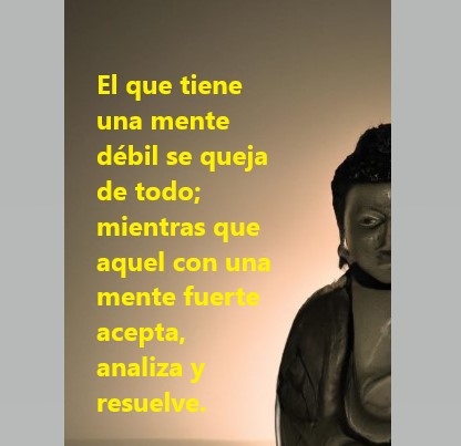 VidaEquilibrada (@vidaequilibrad4) on Twitter photo 