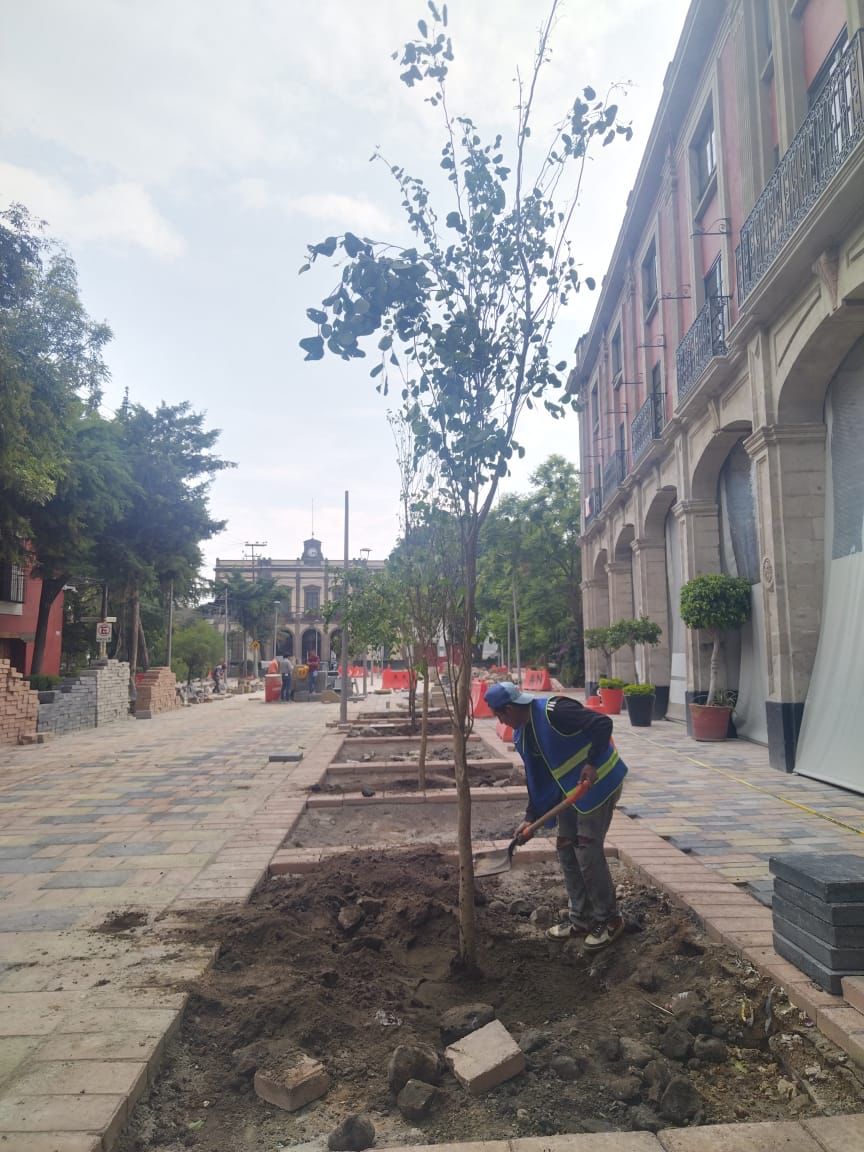 pagolamx's tweet photo. Estoy muy orgullosa de #MisVecinos
106 personas en las mesas de trabajo, por tener una #PlazaJauregui organizada y hermosa https://t.co/dfI8513bKx