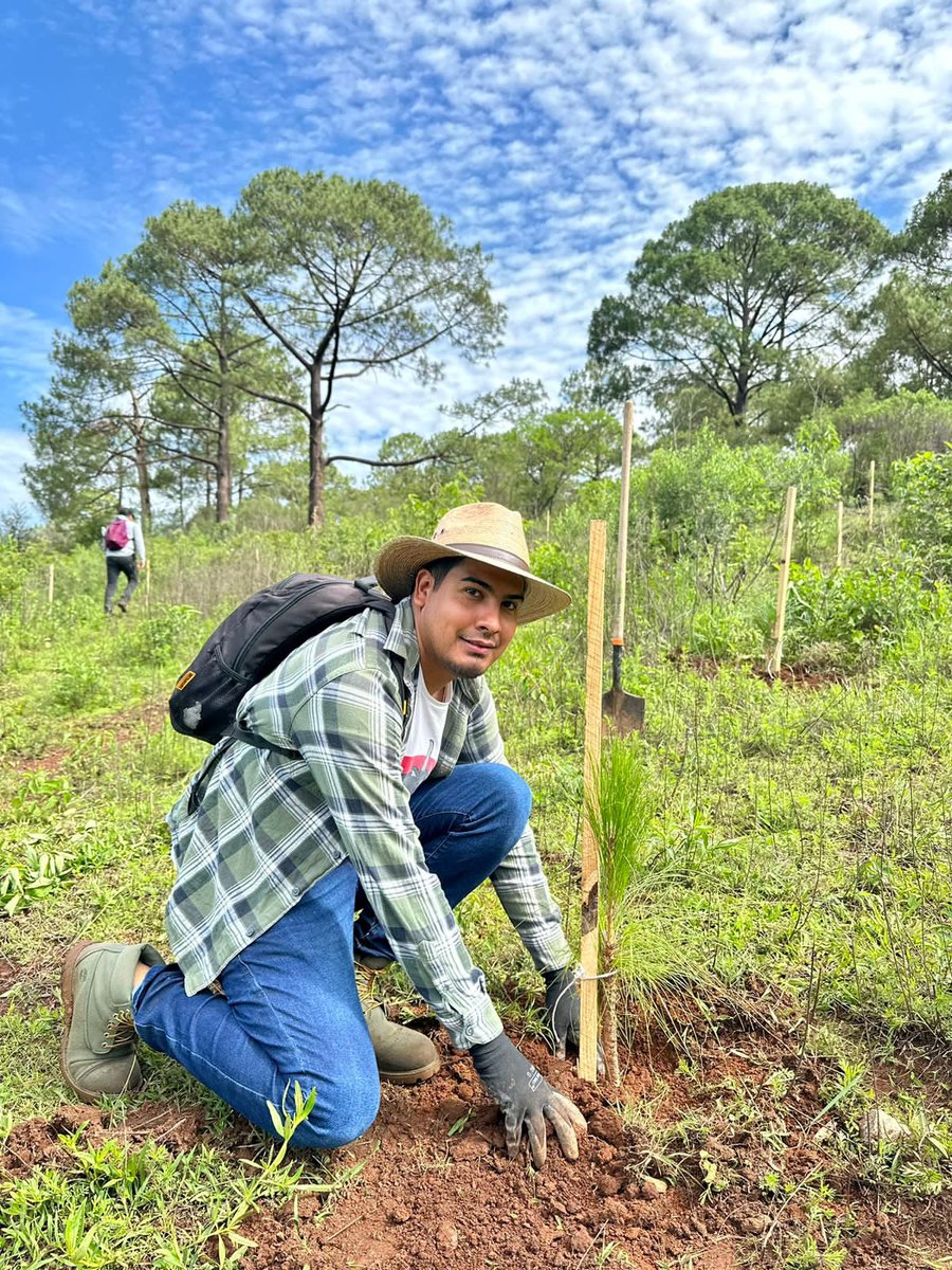 jsgs_galvez's tweet photo. -No juzgues cada día por lo que cosechas, sino por las semillas que plantas. 
🍃🍂🍁🌲🏕️🦌 https://t.co/RuKrY6yxLC