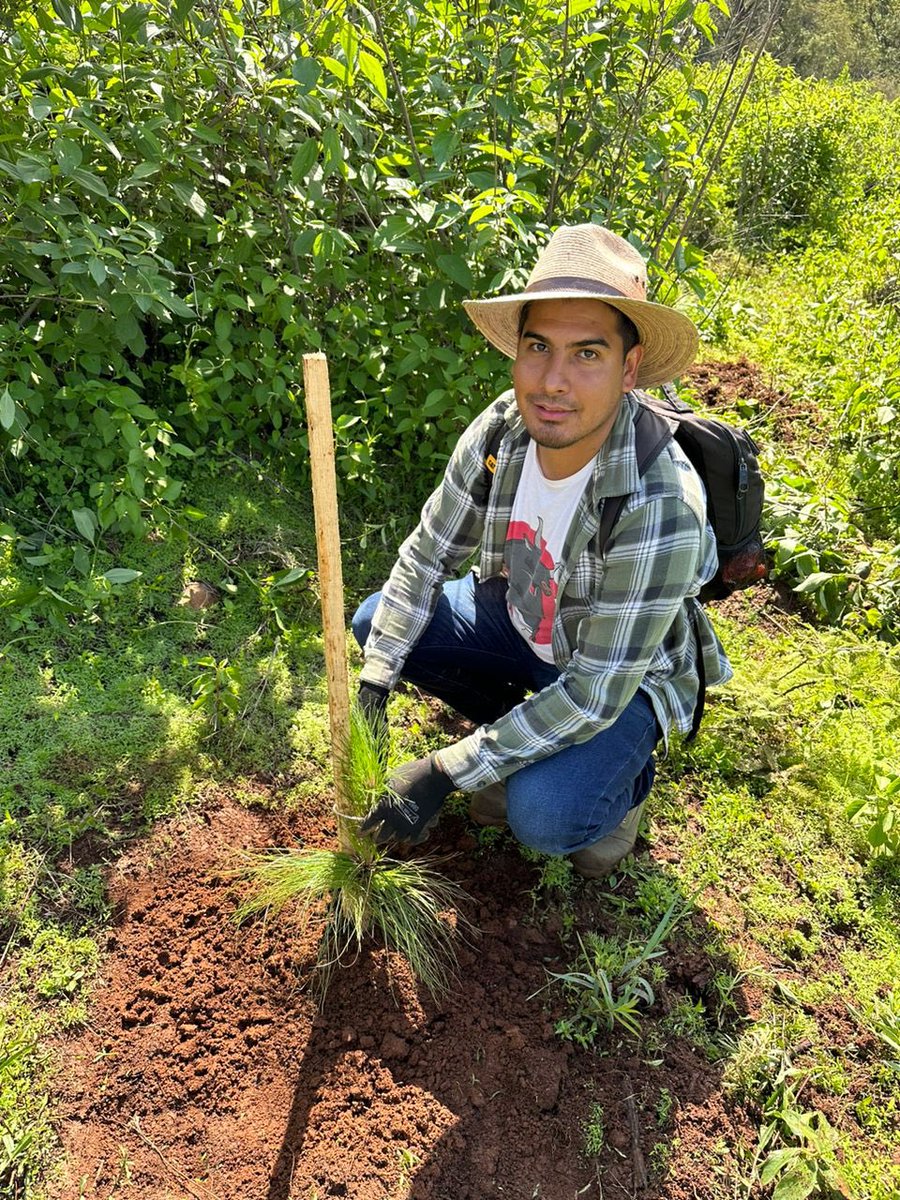 jsgs_galvez's tweet photo. -No juzgues cada día por lo que cosechas, sino por las semillas que plantas. 
🍃🍂🍁🌲🏕️🦌 https://t.co/RuKrY6yxLC