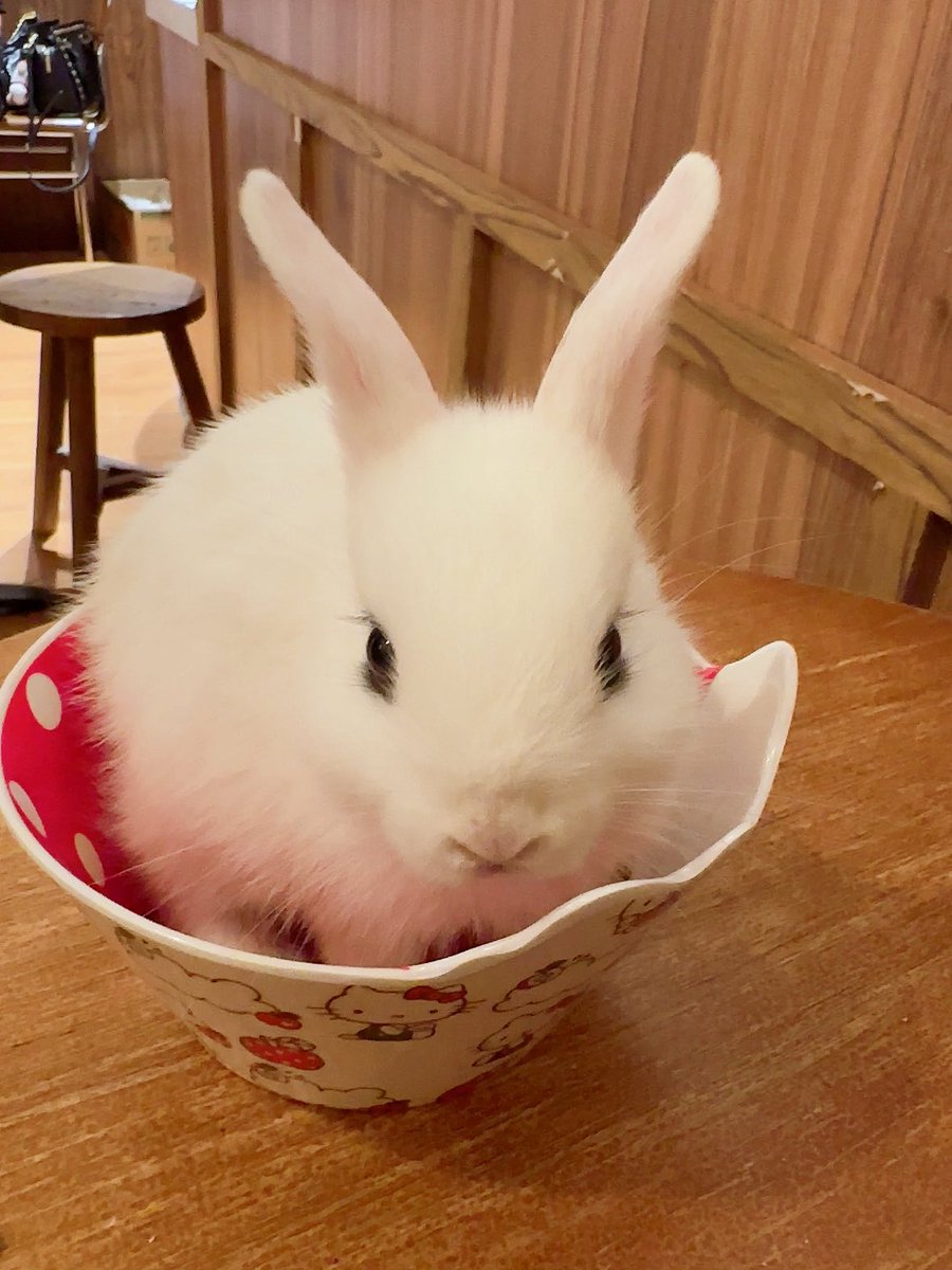 DSY329's tweet photo. I met 김준면 today in a cafe🐰🍹 https://t.co/cqXhoqQ90F