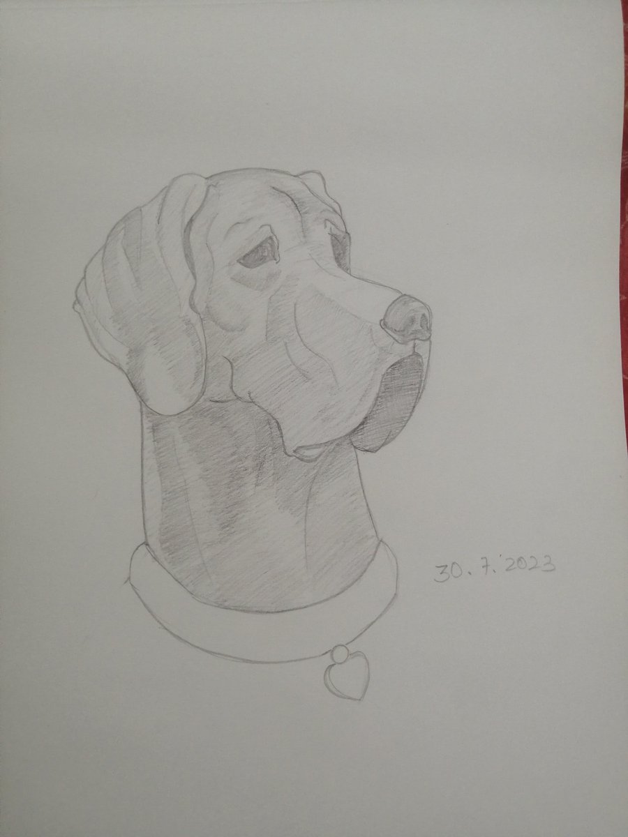adraj's tweet photo. #Drawingcamp day 5 https://t.co/SBRfPArfhX