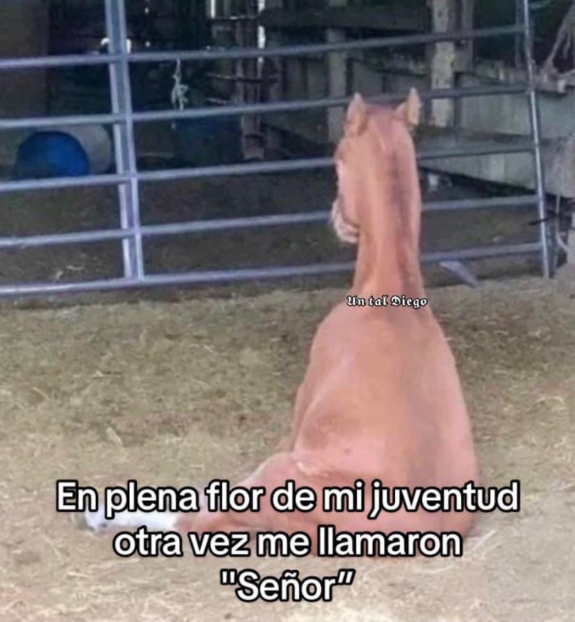 😂
