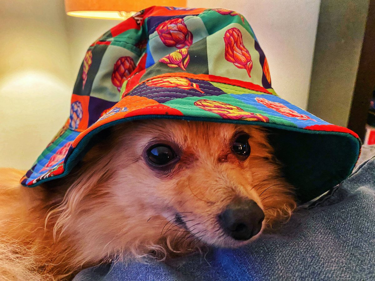 My Mom Went to Tales of the Cocktail and All I Got Was This New Job as a Brand Rep for Cynar